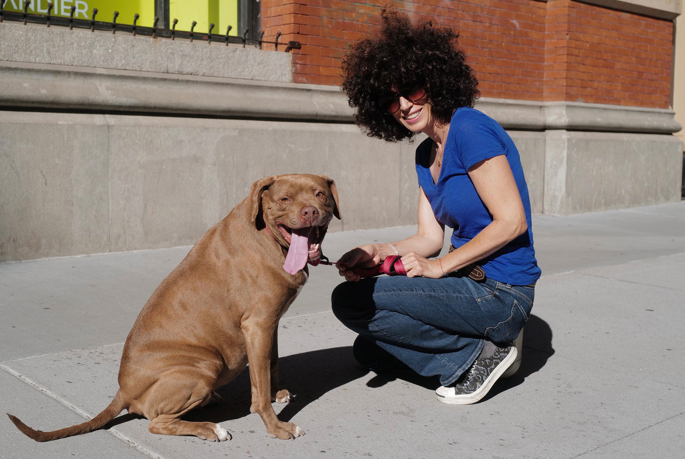 Pitbull mix rescue dog sitting on the street in NYC with young woman