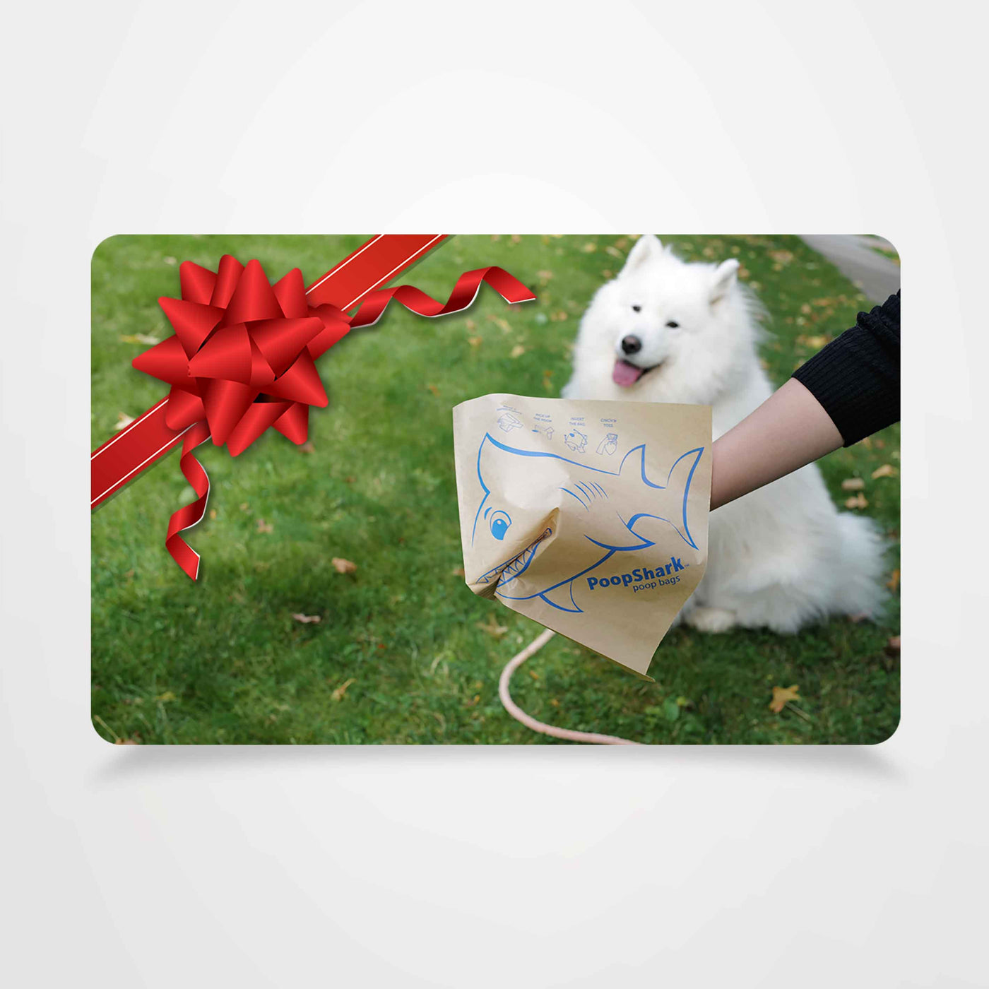 PoopShark Gift Card